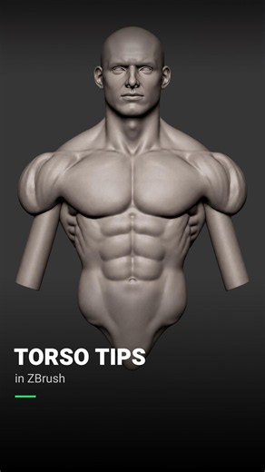 Build a Stronger Male Torso With These Sculpting Tips