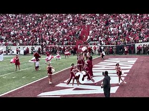 09-06-2025 The University of Arkansas Razorback Marching Band perform their pregame.