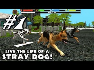Stray Dog Simulator By Gluten Free Games - Android & iOS - Gameplay Part 1