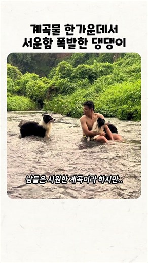 이 정도면 말만 못 하지 사람 맞음 (질투 폭발)