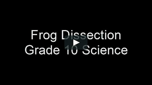 9-BIO-1 Grade 10 Science Frog Dissection