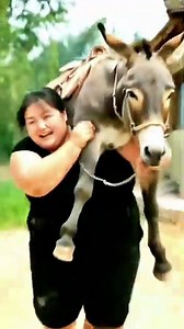 The DONKEY is riding the human! 😱