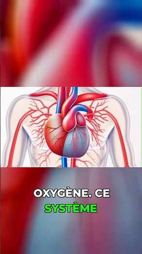 Le trajet secret de ton sang en 60 secondes #circulationdusang #biologie