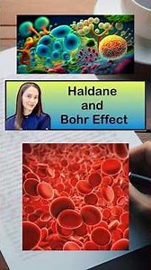 Haldane and Bohr effect