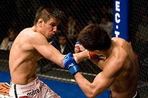 UFC 130: Torres vs. Johnson, Grove vs. Boetsch