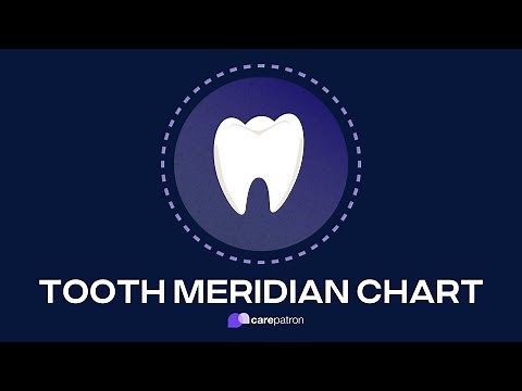 Tooth Meridian Chart