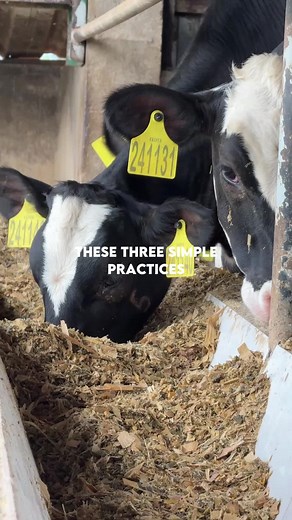 25K views · 400 reactions | Every liter of milk begins at the...