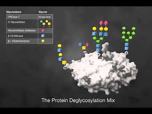 Tools for Glycoprotein Analysis