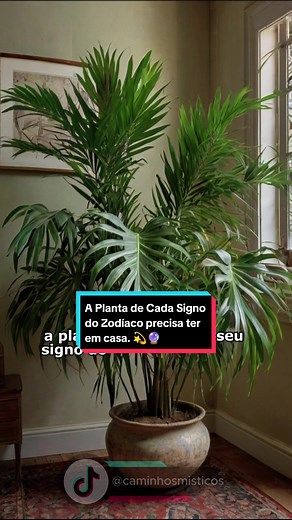 Plantas da Sorte de Cada Signo do Zodíaco