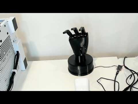 Talk to the Hand - Nova 2 Sonic Voice to Seeed Studio Pollen Robotics Amazing Hand Sign Language