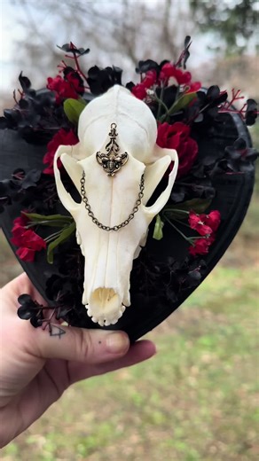 Custom fox skull #oddities #boneart #vultureculture #gothic #fox
