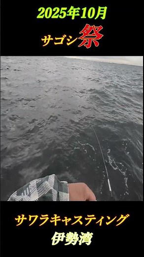 サゴシ爆釣‼ 伊勢湾サワラキャスティング ＃サワラキャスティング＃ブレードジグ＃Fishing