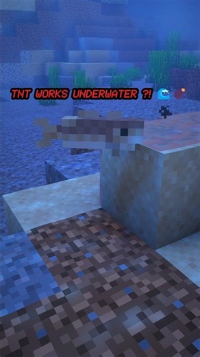 Minecraft Underwater TNT Glitch! 🌊💣 #minecraft #shorts #minecrafthacks