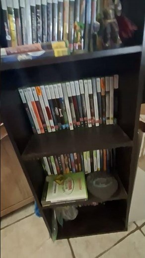 Overviewing My Sister's PC Game Collection