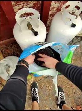 The Secret World of Rare Figs | Turning a Single Cutting Into a Fig Empire 🌿👀