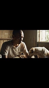 Askal story - mahirap maging mahirap | chadherald