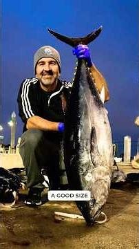 200lbs of Bluefin Tuna! 3-Day Fishing Trip 🎣🍣