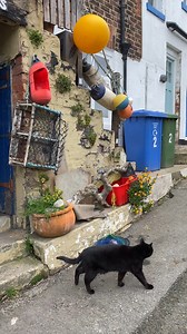 A short walk around Staithes 🐟 | Flying Scots Girl