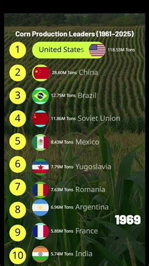 Who Produces the Most Corn? 🌽😳