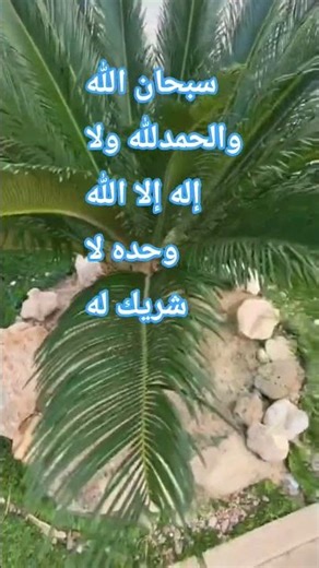 #O_Allah_send_blessings_and_peace_upon_our_Prophet_Muhammad #shortvideo #explore #اكسبلور