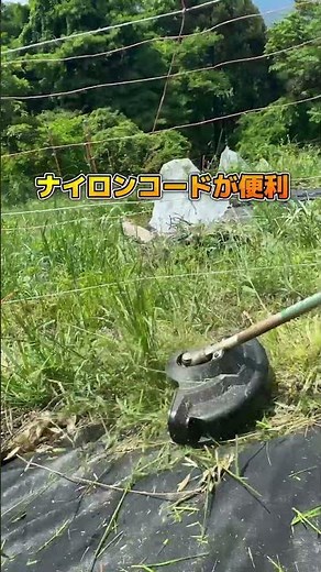 ナイロンコードの刈払機で電気柵まわりの雑草を草刈りします！ #農業 #耕作放棄地 #耕起