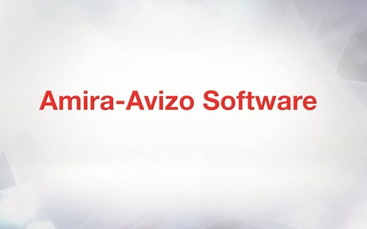 Amira-Avizo Software Visualizing 3D images