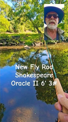 New Fly rod day, testing out Shakespeare Oracle II 6' 3# #fishing #flyfishing