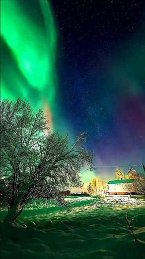 AURORA BOREAL #curiosidades #ciencia #natureza