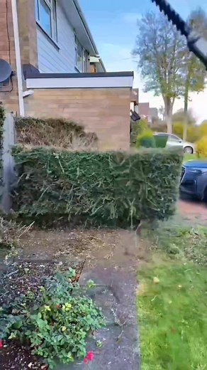 2.3K views · 24 reactions | Turning a Messy Yard Into a Masterpiece – Ultimate Cleaning Combo‼️ | Beautiful Yard Grass | Facebook