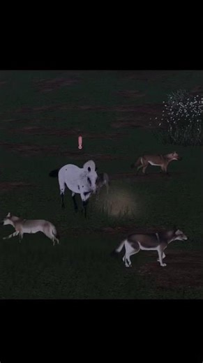 home #wolfquest #ecos #ecoslabrea #gaming #wildcraft #roblox#realistic #animals #wolves #wolf #edit