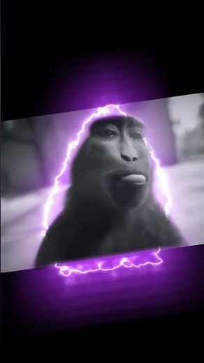 This monkey tweaking