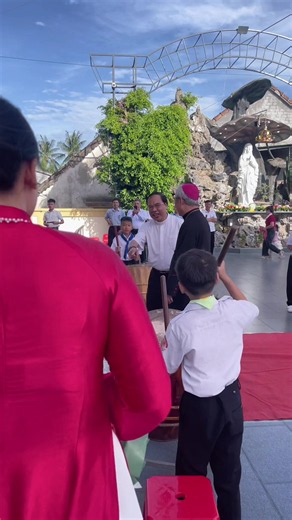 Tiểu sử tóm tắt của Louis Nguyễn Anh Tuấn: * Tên thánh: Louis (Luy) * Ngày sinh: 26/12/1962 * Nơi sinh: Đà Nẵng (khi đó thuộc tỉnh Quảng Nam – Đà Nẵng). * Quê nội: Hương Khê, Hà Tĩnh. Gia đình gốc thuộc giáo họ Nhân Hòa (nay là giáo họ An Hòa), giáo xứ Gia Phổ, Hà Tĩnh. Học vấn * 1969–1979: Học tại các trường Lasan Mossard, Lasan Taberd Sài Gòn và Trần Quốc Tuấn. * 1979–1984: Tốt nghiệp Cử nhân Toán – Tin học tại Đại học Tổng hợp TP. Hồ Chí Minh. * 1993–1999: Tu học tại Đại Chủng viện Thánh Gius