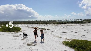 Tiga vit au rythme des rues, des rencontres, des cuisines, de la joie de vivre et même.. de la forêt amazonienne ! Echappées Belles au Brésil, c'est samedi 19 janvier à 20h50 sur France 5 | Echappées Belles