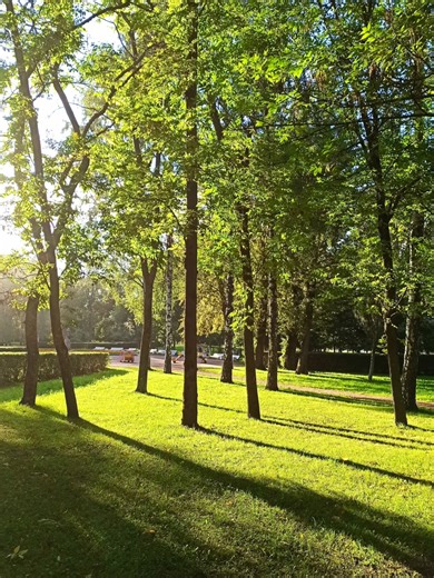 Street Photography with Redmi Note 8 Pro #xiaomi #redmi #photocamera #cameraman #smartphone #streetphotographer #streetphotography #phototest #cameratest #note8