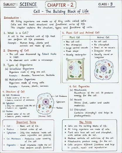 🧫 Class 9 Science Chapter 2 Cell: The Building Block of Life #cellularlife #cellmodeling #cellcraft