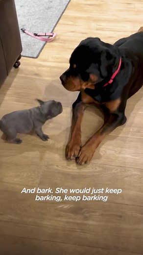 captaincap26 on TikTok