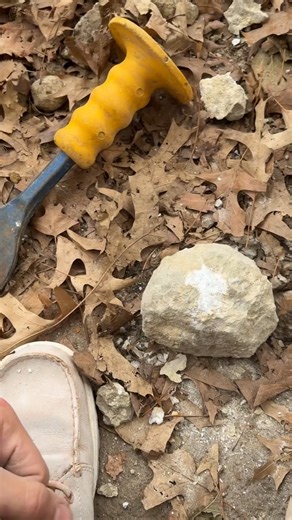 Discover Beautiful Geodes and Crystals for Christmas