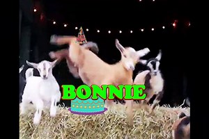 Happy Birthday Bonnie - Bonnie's Birthday Song - Bonnie's Birthday Party