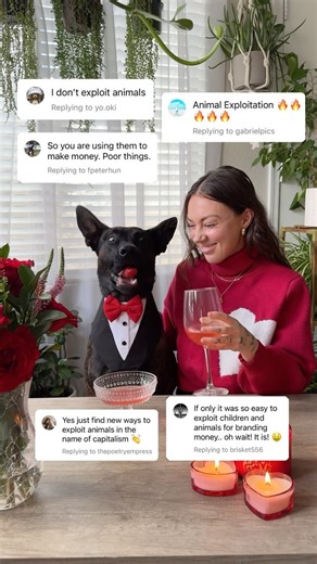 103K views · 28 reactions | Am I exploiting him… or is he exploiting me? 廊 Either way we hope you all have a Valentine’s Day full of love!! ❤️殺 . . . . . . . #crazydogmom #dogmomlife #sweetdogs #dogloversonly #valentines2024 #happyvalentinesday #dutchshepherdlovers #dutchshepherdofinstagram #petfluencers | through.the.lleaves | Facebook