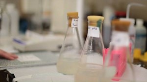 Laurentian biochemistry professor Dr. Vasu Appanna describes the human microbiome, and the potential it has to change the way we look at health. Le Dr Vasu Appanna, professeur de biochimie à l'Université Laurentienne, décrit le microbiome humain et son potentiel de changer la façon dont nous envisageons la santé. | Laurentian University - Université Laurentienne | Facebook