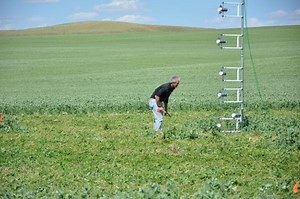 Keeping Fertilizer in the Ground and Out of the Air - SARE