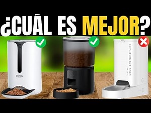 The Best Pet Food Dispensers for the Price in 2026 [DON'T BUY WITHOUT SEEING THIS]