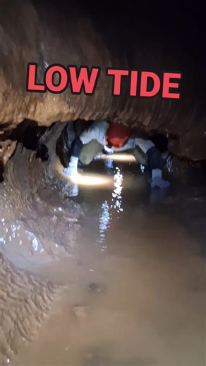 If you have ever been on a wild cave tour at Sims Cave Park then you know why we call this passage "The Bat Hole." Close your mouth Chris Mewbourne ! #bathole #cave #adventure #reels | Wes Sims