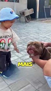 A escolha que mudou sua vida 🐕