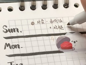 Weeks｜自制A6周计划本➕第一份周计划排版