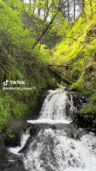 Exploring Sheppard’s Dell Falls: A Nature Lover’s Gem