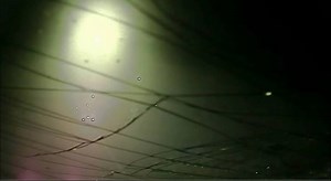 35K views · 227 reactions | CAUGHT ON CAMERA! Scary moments were caught on police dash-cam video in Tennessee. A rock slide which left large debris on a roadway caused an SUV to go airborne, and then crash into a police cruiser. Luckily, both the driver of the sand the police officer only received minor injuries. | KHQ Local News | Facebook