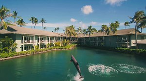The Kahala is home to our very own dolphin lagoon. These happy residents love greeting our guests each day. | The Kahala Hotel & Resort