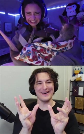 Kangaroo! #fyp #bosnov | kangaroo