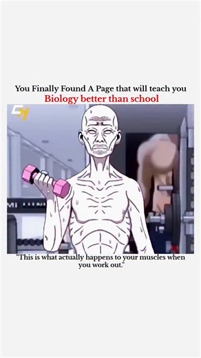 BIOLOGY | MEDICAL | HEALTH on Instagram: "This is what actually happens to your muscles when you work out. When you lift weights or train intensely, your muscle fibers develop tiny micro-tears. While it may sound harmful, this is a normal and essential part of muscle growth. After the workout, your body repairs these micro-tears by fusing the fibers together, making them thicker and stronger. This process is known as muscle hypertrophy. That is why rest is just as important as training, protein 